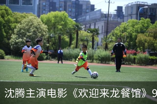 沈腾主演电影《欢迎来龙餐馆》9月将在日本、新加坡、马来西亚、泰国、澳大利亚等多地上映，之后也有望在北美进行大规模发行